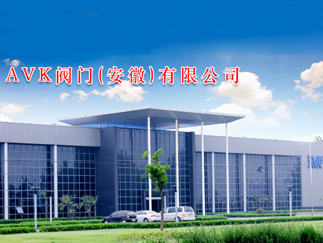 AVK閥門（安徽）公司燃氣改造項目