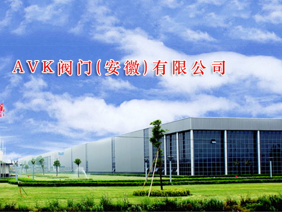 AVK閥門（安徽）公司燃氣改造項目